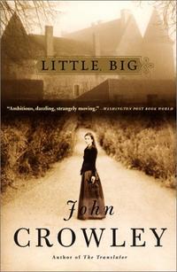 Book Discoveries: Little, Big