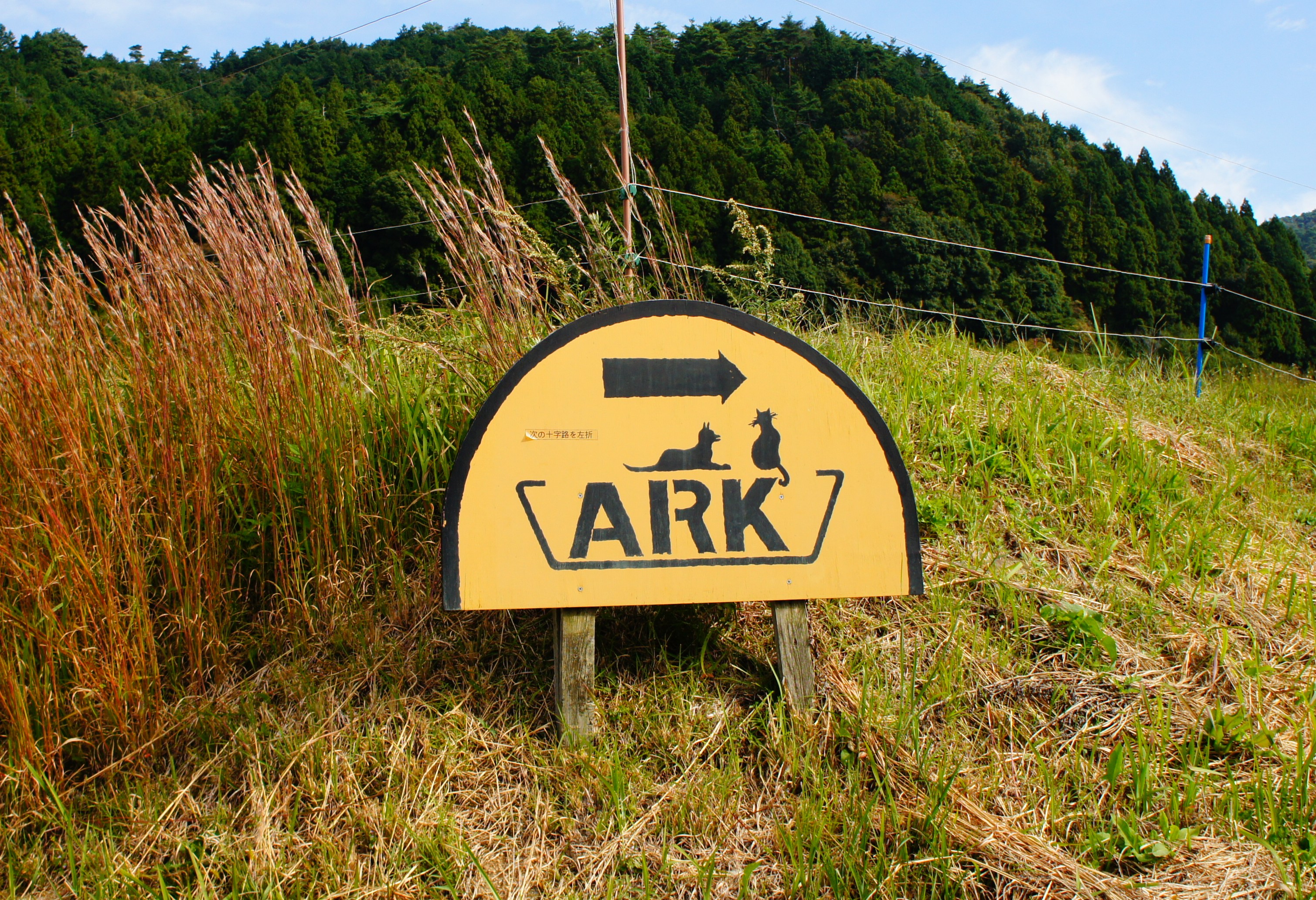 Special Feature: Weekend at ARK!