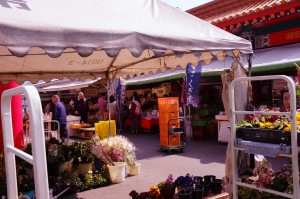 The Aioi market is the place to be on Saturdays! No one is immune to the effects of its tantalizing theme song.