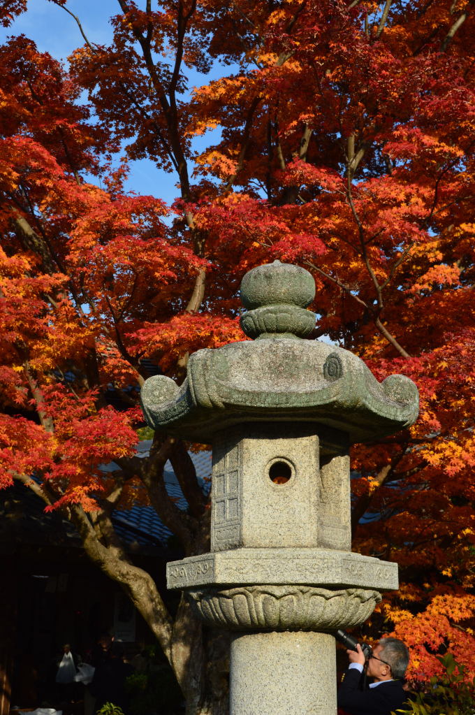 Kyotoâ€™s Fall Foliage