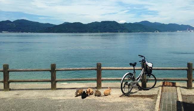 Okunoshima: A Floppy-Eared Paradise