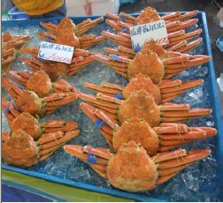 Toyooka, Crab County, Where the Crab is Plenty and the People Are Genki