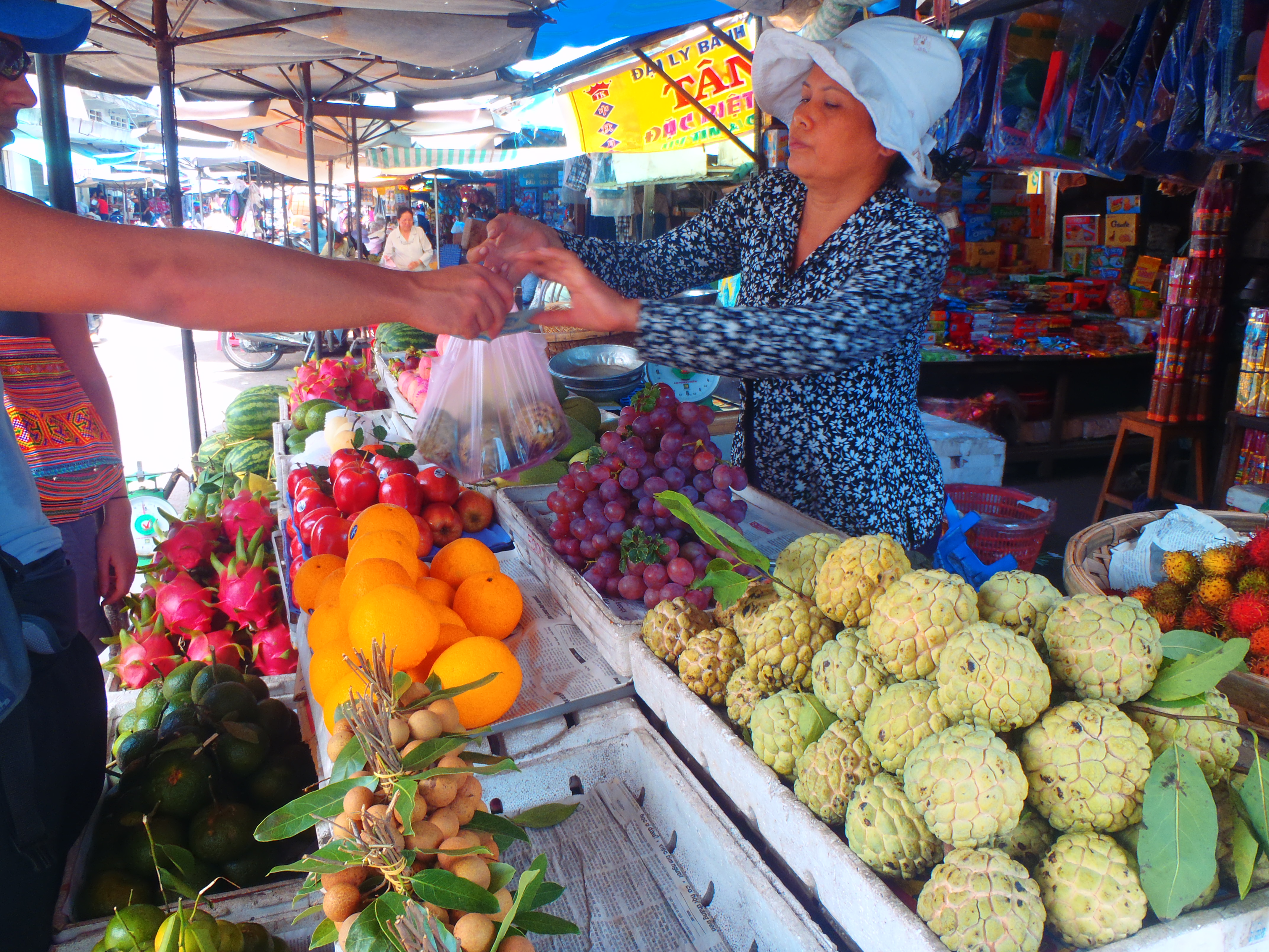 Vietnam Holiday